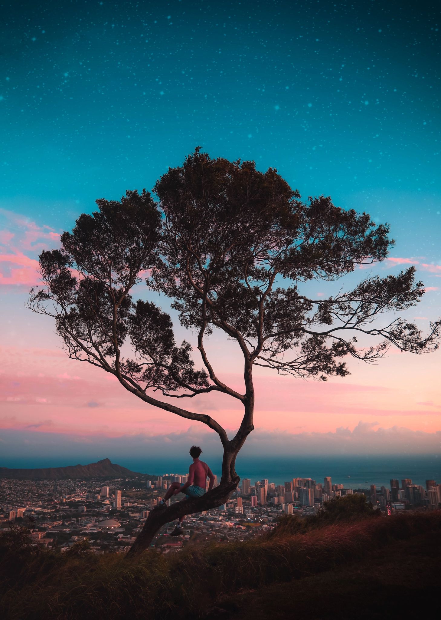 Hawaii, Honolulu è ritratta dall'alto del monte Tantalus. In primo piano un ragazzo sdraiato su un albero ammira il paesaggio della città sullo sfondo