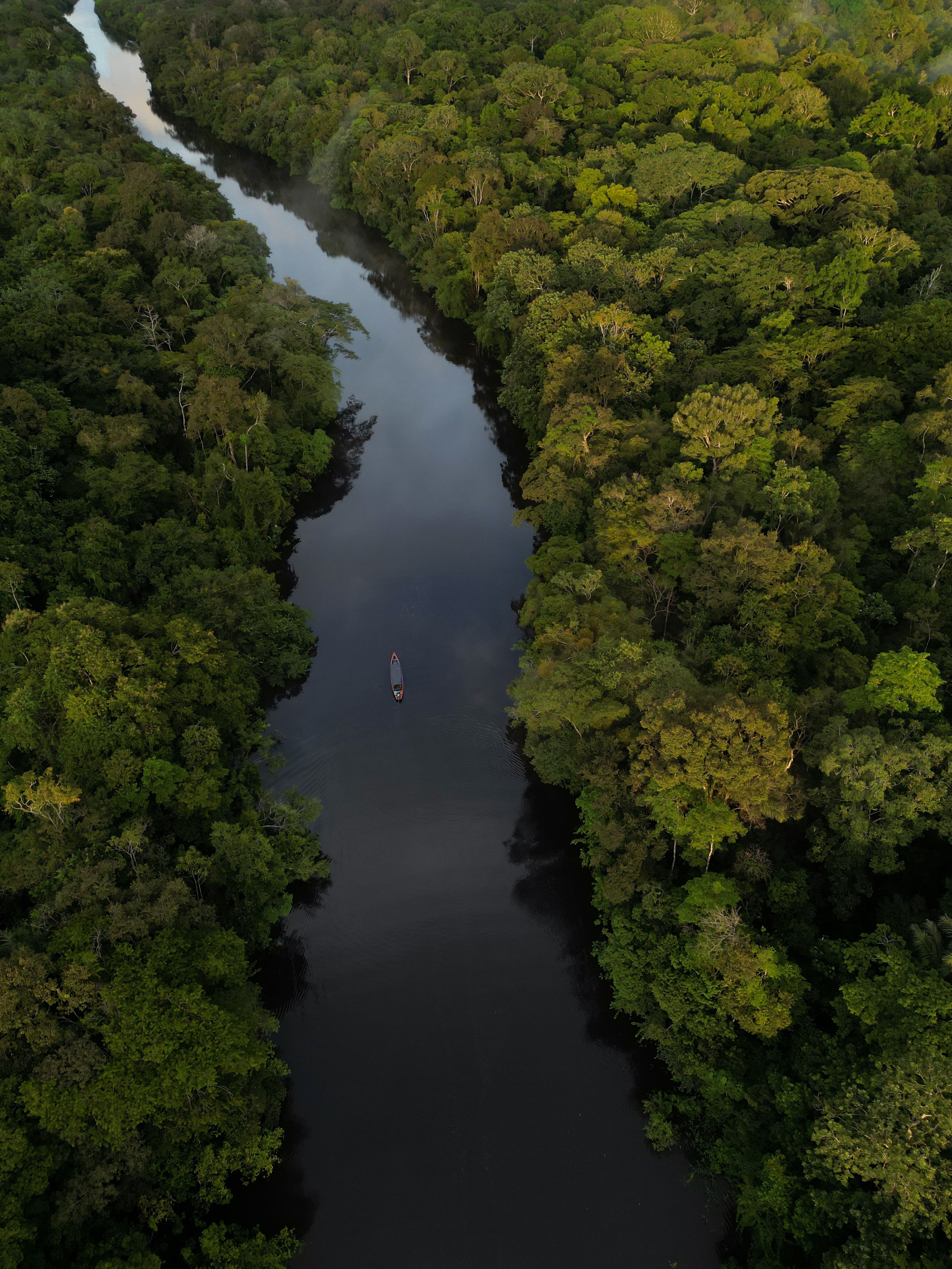 Amazzonia – Luca Oliveri